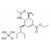 Oseltamivir Phosphate Suspension and Capsule